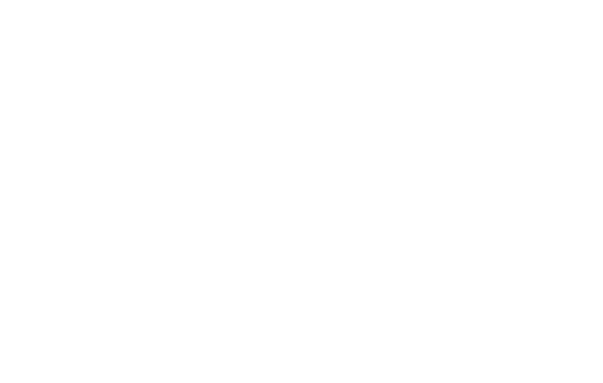 Bizness Apps logo